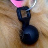 Extra Magnetic Tag for Collar