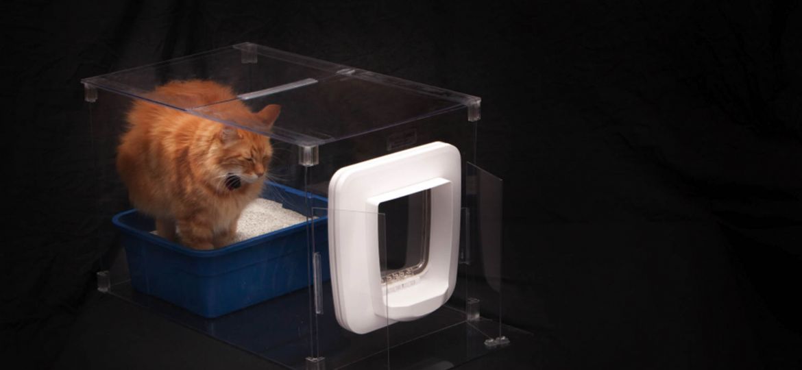 private litter box solutions