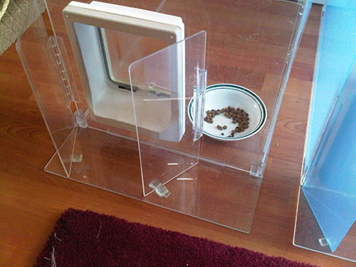 Meowspace Faqs The Solution To Your Multi Pet Household Issues