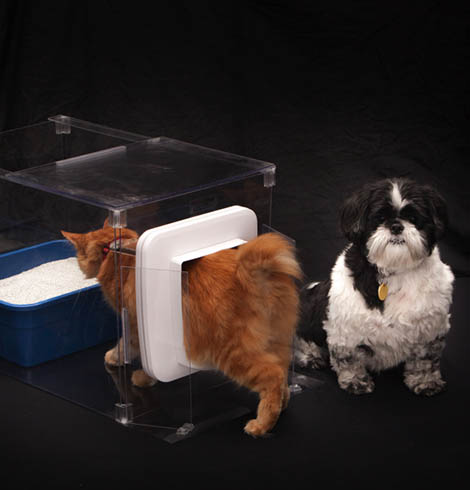 dog feeding box