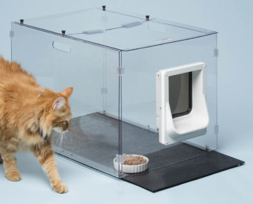 Selective Microchip Pet Feeder for Cats 